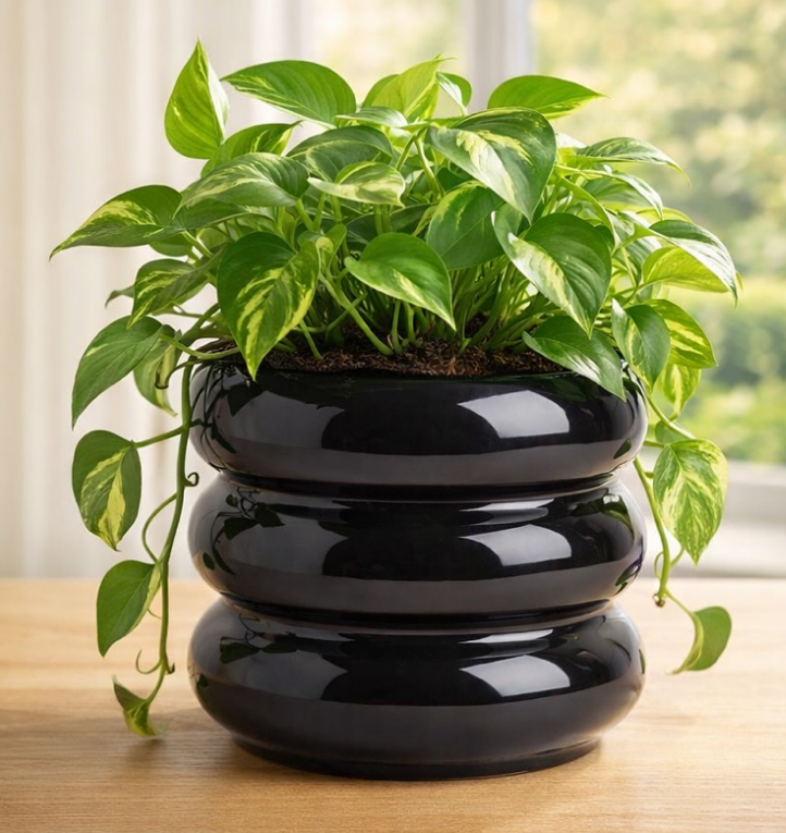 Fotografía de Producto