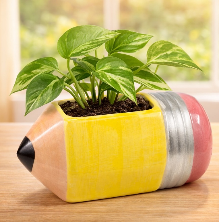 Fotografía de Producto