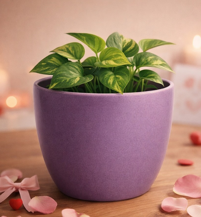 Fotografía de Producto