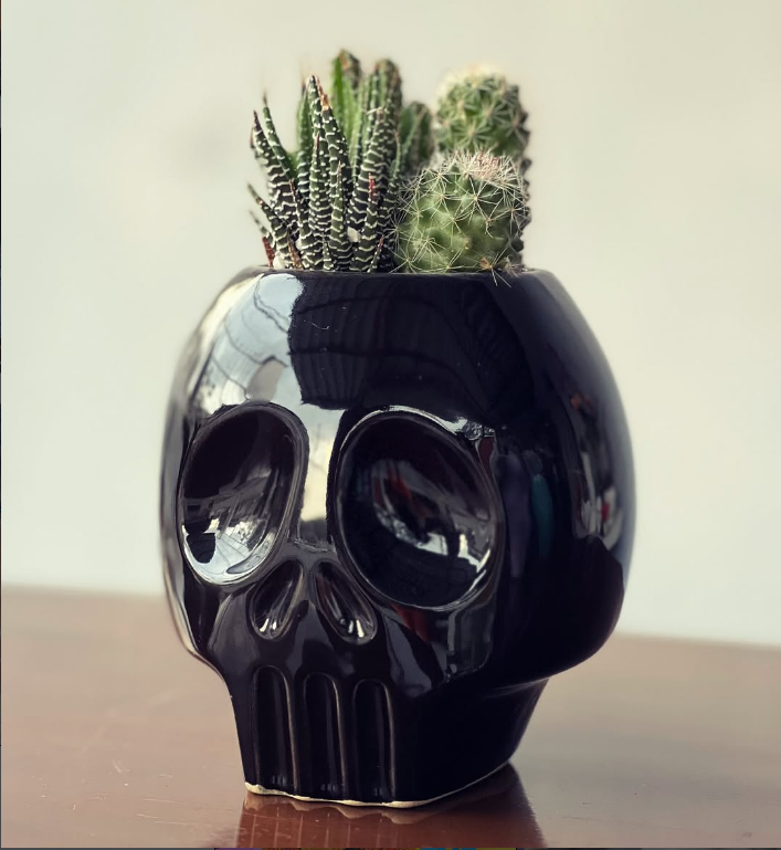 Fotografía de Producto Maceta Cráneo