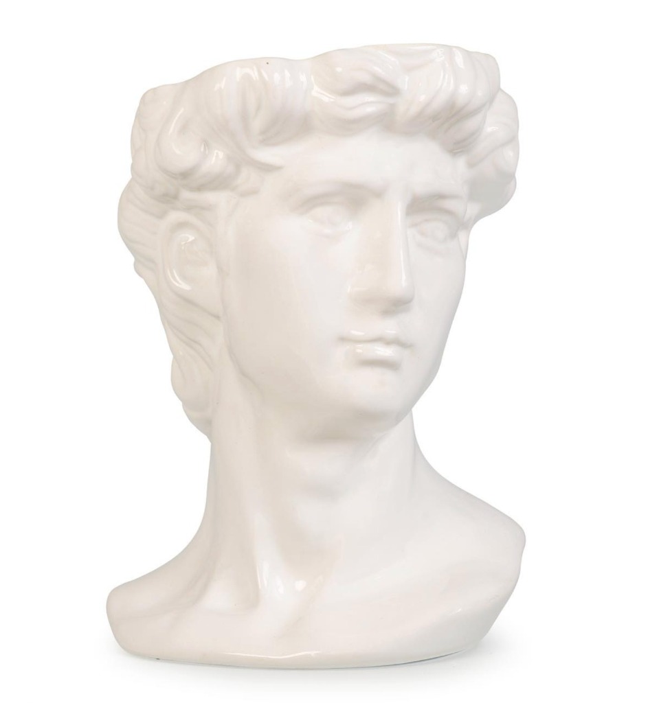 Maceta Cabeza de David